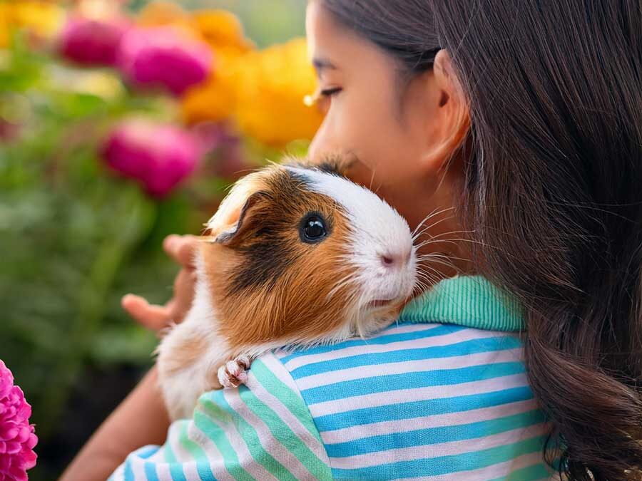 Should you let your child be present at a pet euthanasia?